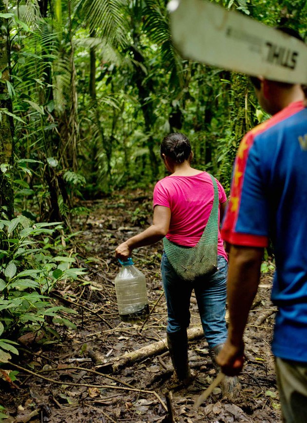 Forest Governance in Ecuador