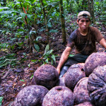 Counting 'cocos'