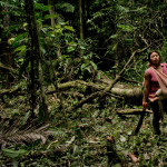 Oil, Roads, Settlers and Timber: Changing landscapes and livelihoods in Ecuador’s Amazon