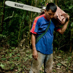 Oil, Roads, Settlers and Timber: Changing landscapes and livelihoods in Ecuador’s Amazon