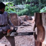 Cutting and chainsaw