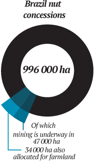 brazil-nut-concessions-chart