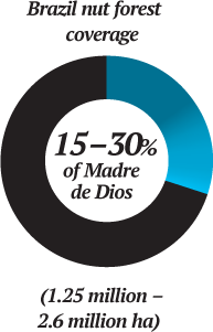 brazil-nut-forest-coverage-chart